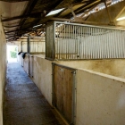 Lower yard with concrete stable partitions.