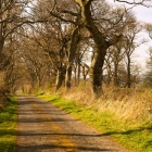 The quiet country road to Carrington